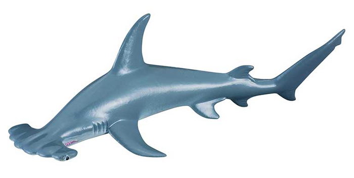 COLLECTA Requin Marteau Taille M COLLECTA Requin Marteau Taille M