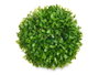 Ibergarden Bola Ronde Verte avec Feuilles 17 cm (Set de 12)