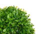 Ibergarden Bola Ronde Verte avec Feuilles 17 cm (Set de 12)