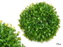 Ibergarden Bola Ronde Verte avec Feuilles 17 cm (Set de 12)