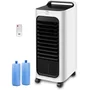 Cool Clima CCAC80-6LTL Rafraîchisseur d'air 80 W réservoir 6 L télécommande