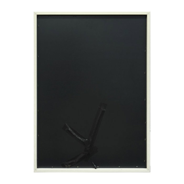 Tableau avec LED Home ESPRIT Moderne animaux 53 X 3,7 X 73 CM (2 Unités)