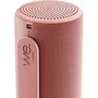 Loewe HEAR 1 - Enceinte Bluetooth Portable 40 W Resistante aux Eclaboussures - Autonomie 14 Heures