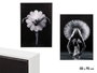 GIFTDECOR Tableau Toile Châssis Ballet Assortis 50x70 cm Gris Noir (Set de 2)