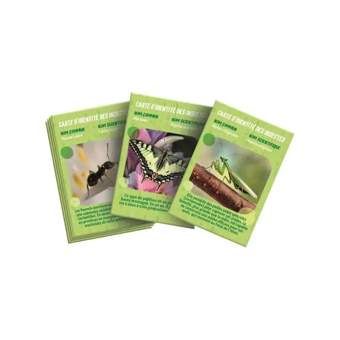 Clementoni - Maison des insectes avec accessoires d'observation (loupe, pince) - Boîte de transport pour enfants dès 7 ans