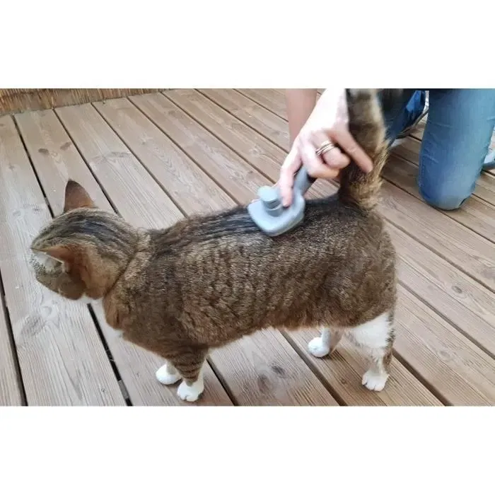 VETOCANIS - Carde auto-nettoyante pour chat à poils longs, Brosse de toilettage rétractable et ergonomique