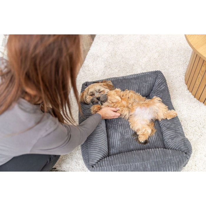 Lit pour chien Trixie Vital Jonna Gris foncé 60 x 50 cm Lit pour chien Trixie Vital Jonna Gris foncé 60 x 50 cm