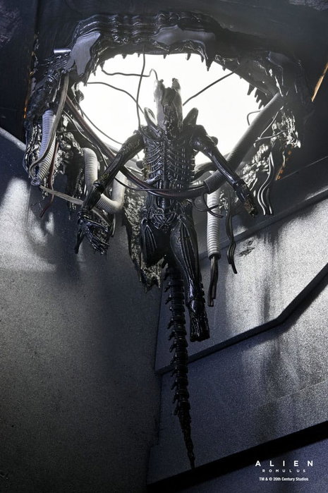 Alien: Romulus figurine Deluxe Suspended Lab Xenomorph XX121 18 cm