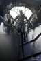 Alien: Romulus figurine Deluxe Suspended Lab Xenomorph XX121 18 cm