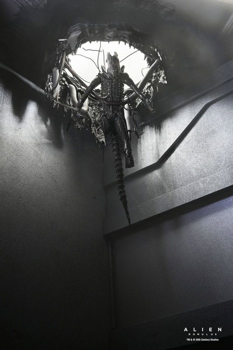 Alien: Romulus figurine Deluxe Suspended Lab Xenomorph XX121 18 cm