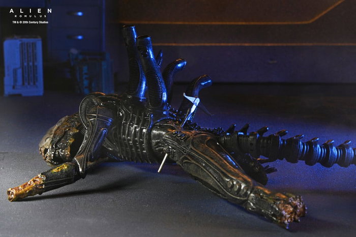 Alien: Romulus figurine Deluxe Suspended Lab Xenomorph XX121 18 cm