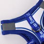 Harnais pour Chien Real Madrid C.F. Bleu