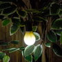 Je cherche une Idee Lampe de Camping LED 3 Modes