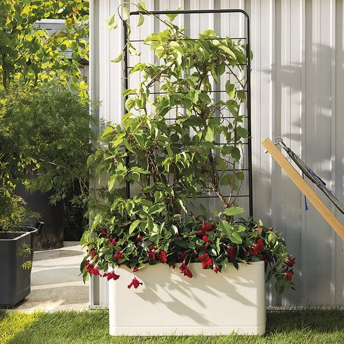 Deroma Porte-plantes Cosmo en métal, gris, 78 cm de large x 163 cm de haut, design élégant et contemporain pour intérieur et extérieur