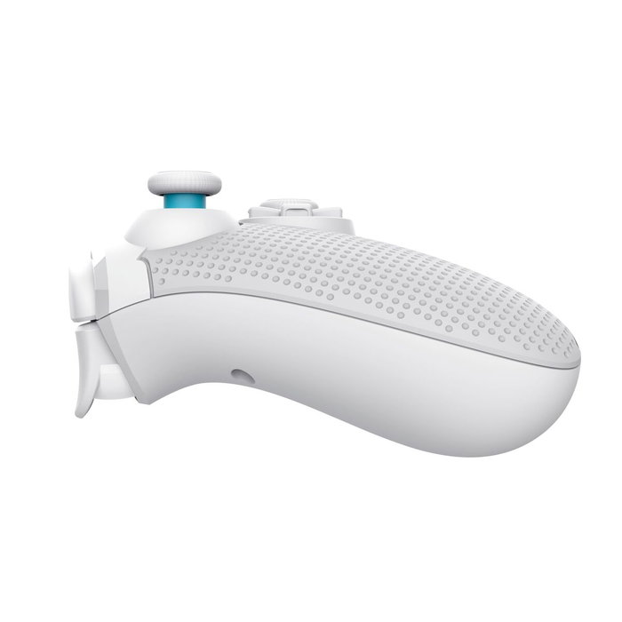 Manette Pro pour Nintendo Switch + Câble USB Mars Gaming GXT 1246W