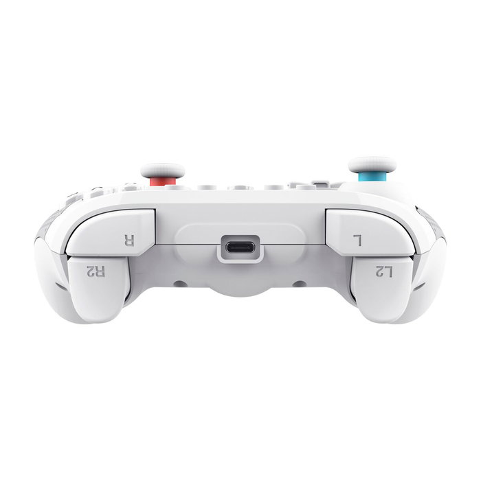 Manette Pro pour Nintendo Switch + Câble USB Mars Gaming GXT 1246W
