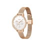 Boss 1502663 Montre Dorée Multifonction