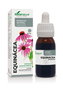 Soria Natural Extrait d'Échinacée Formule XXI 50ml
