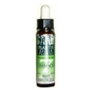 PLANTIS REMEDIO PLANTIS Nº 7 CANSANCIO 10ml ECO
