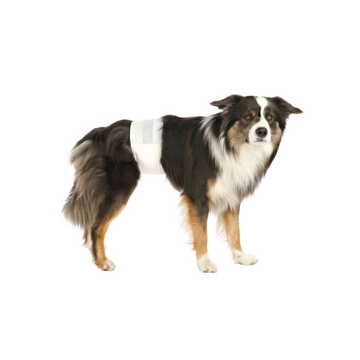 Couches Trixie 12 Unités Couches Trixie 12 Unités