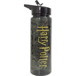 WARNER BROS. DISCOVERY Bouteille Logo Harry Potter 750ml