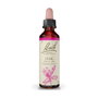 Bach Original Oak 20 ml