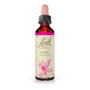 Bach Original Oak 20 ml
