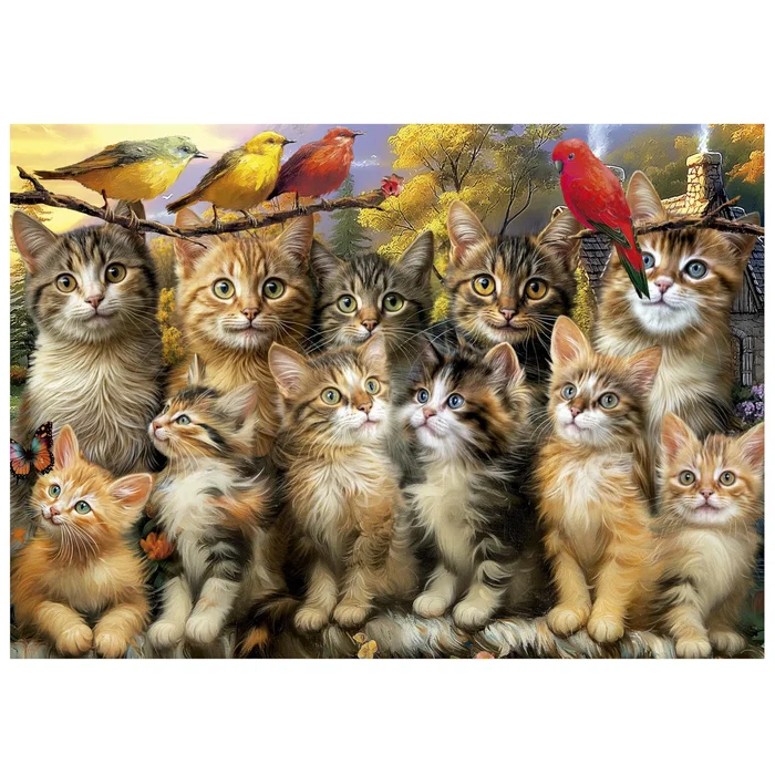 Educa Puzzle 500 pièces Chatons et Oiseaux - 48 x 34 cm