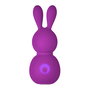Mini Vibromasseur FemmeFunn Bunny Violet