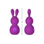 Mini Vibromasseur FemmeFunn Bunny Violet