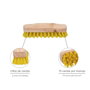 WOLFPACK LINEA PROFESIONAL Brosse à racines sans manche 5x10