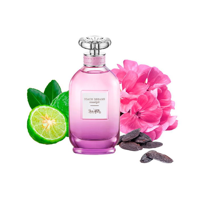 Coach Dreams Moonlight Eau de Parfum pour Femme, Vaporisateur, 90 ml Coach Dreams Moonlight Eau de Parfum pour Femme, Vaporisateur, 90 ml