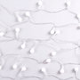 Guirlande LED d'intérieur 6m Blanc chaud
