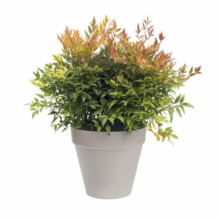 Elho Pot de fleurs Loft Urban Rond Gris anthracite avec roues