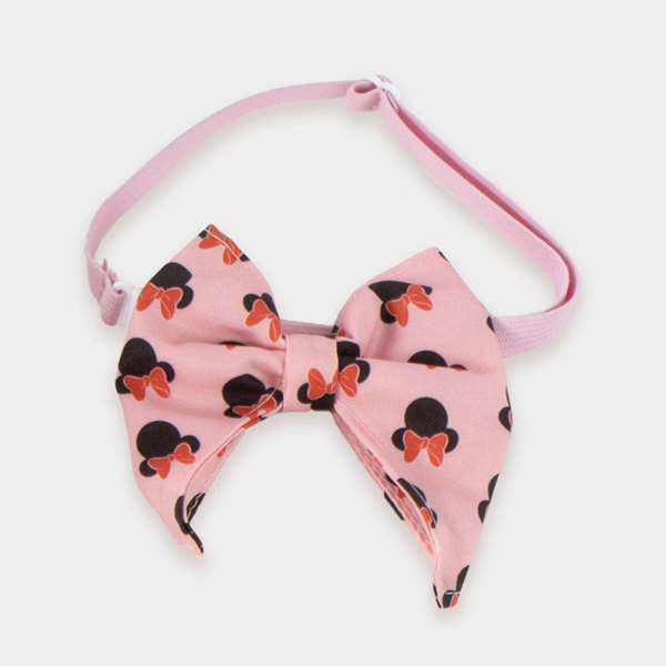 Cerdá Set d'anniversaire pour animaux Minnie 16.0 x 26.4 x 10.5 cm Rose