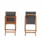 BigBuy Outdoor Lot de 2 chaises de jardin pliantes EDEN en bois d'acacia et textilène gris