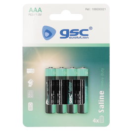 GSC Evolution Pila Saline R03 (AAA) Blister 4ud