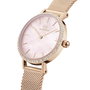 Daniel Wellington DW00100663 Petite 28mm Rose
