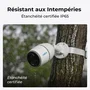 Reolink Caméra de Sécurité Extérieure G330 avec Panneau Solaire, 4MP, Vision Nocturne 10m, Audio Bidirectionnel, Détection Intelligente, Compatible Google Assistant