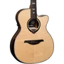 LAG HV50ACE Guitare Acoustique Auditorium Cutaway HyVibe H2