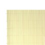 BigBuy Garden Canisse Beige PVC 1 x 300 x 200 cm