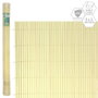 BigBuy Garden Canisse Beige PVC 1 x 300 x 200 cm
