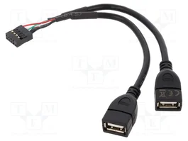 DELOCK Câble USB 2.0 avec 2 socles USB A et connecteur à broches 10 broches, 0,2m