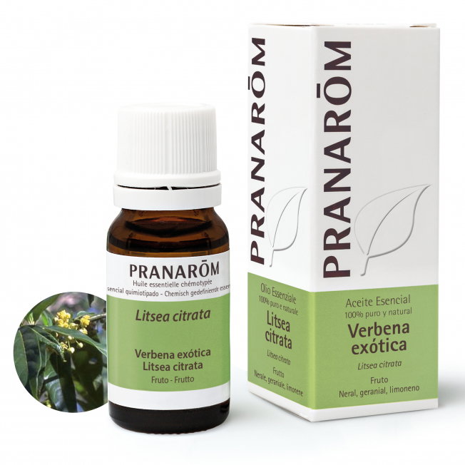 PRANAROM Huile essentielle Verbena exotica Fruto 10 ml