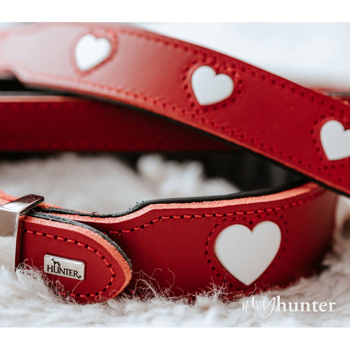 Collier pour Chien Hunter Love M 41-49 cm Rouge Collier pour Chien Hunter Love M 41-49 cm Rouge