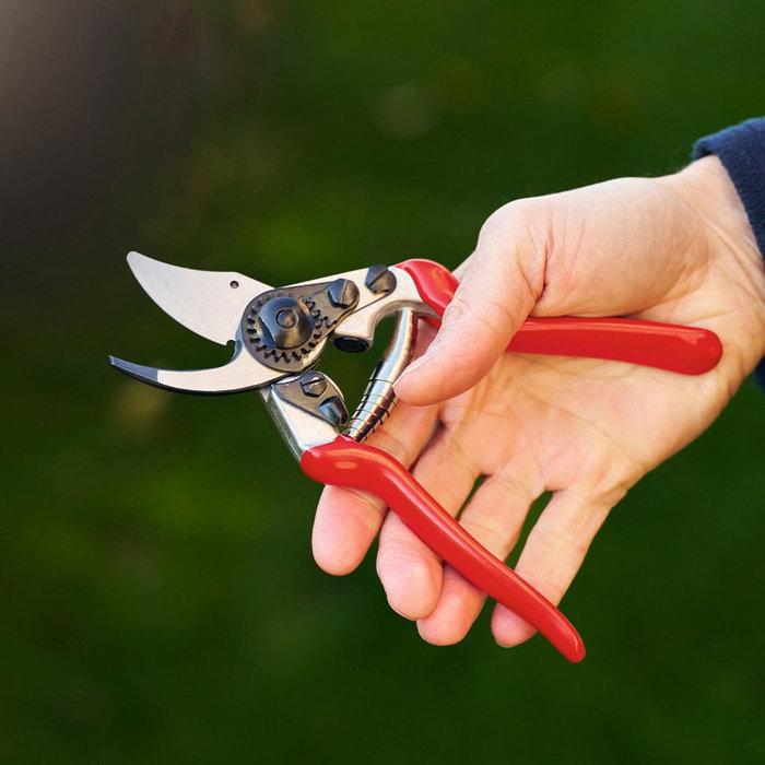 Felco 6 Classic Sécateur de jardinage bypass pour mains moyennes Felco 6 Classic Sécateur de jardinage bypass pour mains moyennes