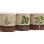 Home ESPRIT Lot de 3 Cache-pots Cottage Marron et Vert en Céramique