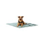 Couverture pour animaux de compagnie Trixie CityStyle Vert Polyester Coton 80 × 80 cm