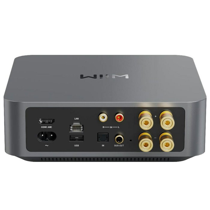 Amplificateur Wiim 57231