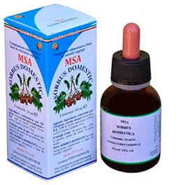 Herboplanet Msa Sorbus Domestica Yemas Serbal Comun 50 ml - Complément Alimentaire Extrait de Plantes
